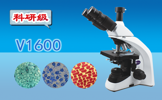 顯微鏡的工作原理以及高倍顯微鏡的使用方法是什么呢？