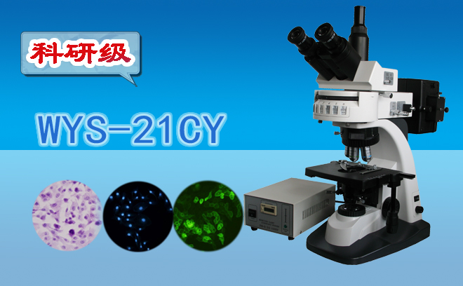 熒光顯微鏡技術(shù)包括哪幾種？